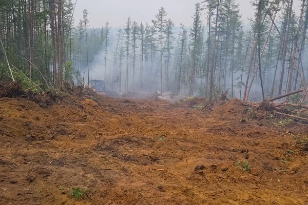 Cost of Hill Clearing in Rochester