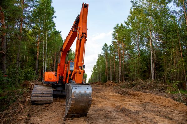 Cost of Backhoe Land Clearing in Rochester