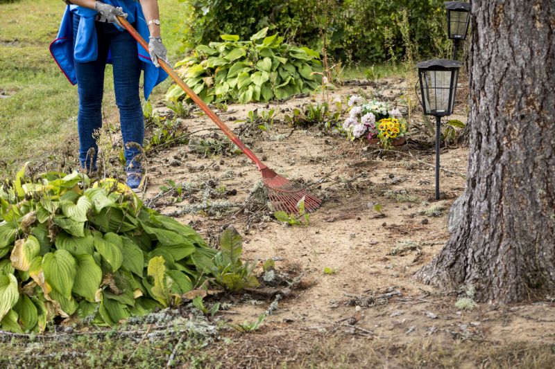 Vegetation Before Clearing