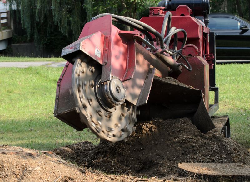 Tree Removal and Stump Grinding